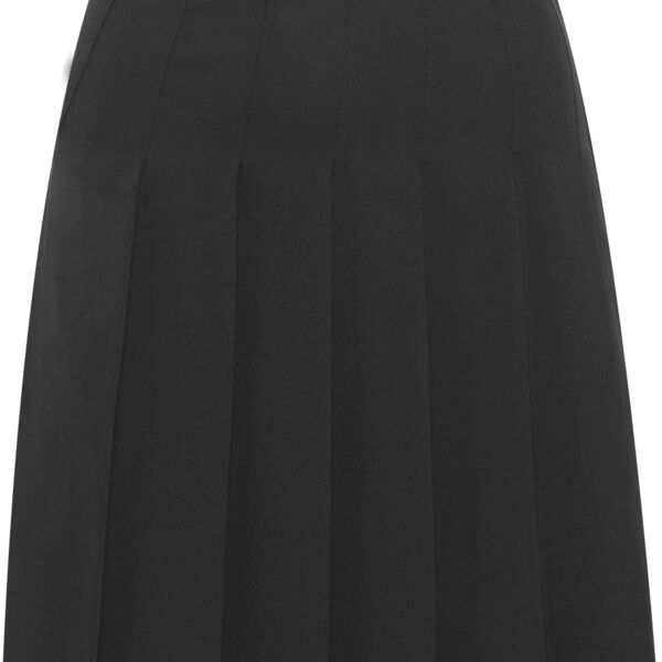 Designer Pleated Skirt Junior Thumbnail